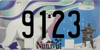 NU license plate 9123