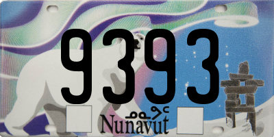 NU license plate 9393