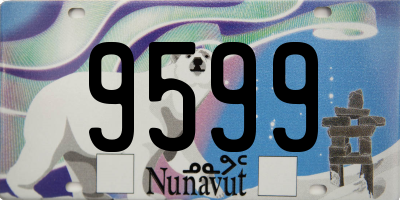 NU license plate 9599