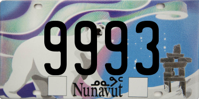 NU license plate 9993