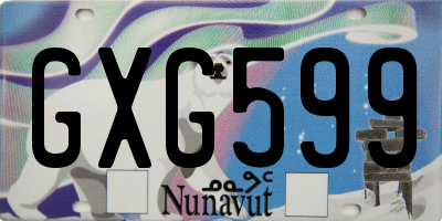 NU license plate GXG599