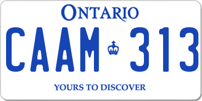 ON license plate CAAM313