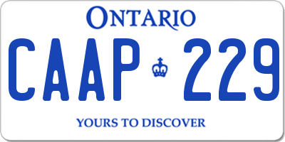 ON license plate CAAP229