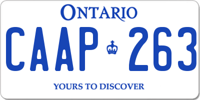 ON license plate CAAP263