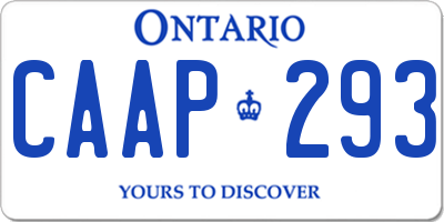 ON license plate CAAP293