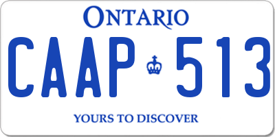 ON license plate CAAP513