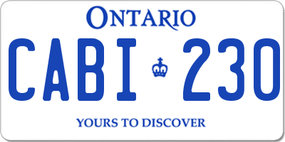 ON license plate CABI230