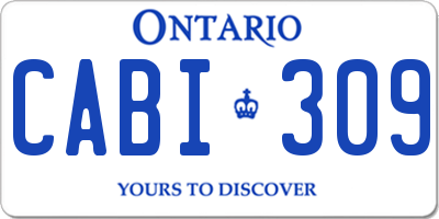 ON license plate CABI309