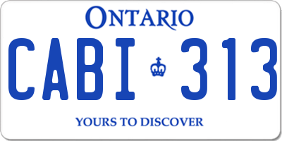 ON license plate CABI313