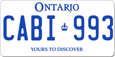 ON license plate CABI993