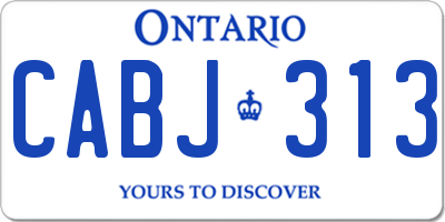 ON license plate CABJ313