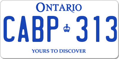 ON license plate CABP313