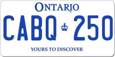 ON license plate CABQ250