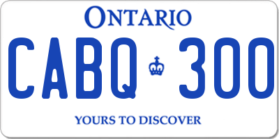 ON license plate CABQ300