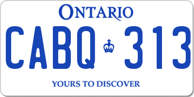 ON license plate CABQ313