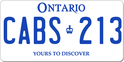 ON license plate CABS213