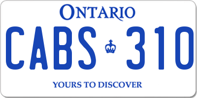 ON license plate CABS310