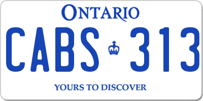 ON license plate CABS313