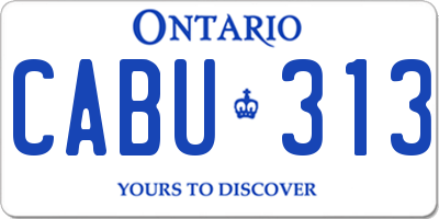 ON license plate CABU313