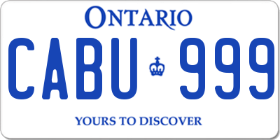 ON license plate CABU999