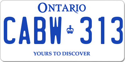 ON license plate CABW313