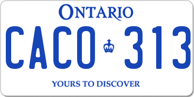 ON license plate CACO313