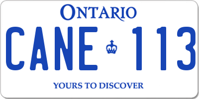 ON license plate CANE113