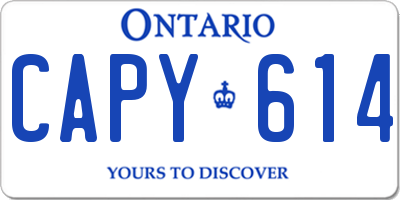 ON license plate CAPY614