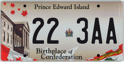 PE license plate 223AA