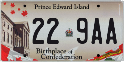 PE license plate 229AA