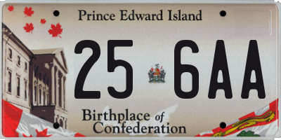 PE license plate 256AA
