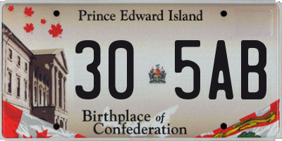 PE license plate 305AB