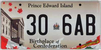 PE license plate 306AB