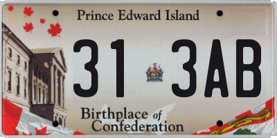 PE license plate 313AB