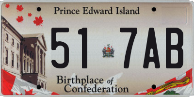 PE license plate 517AB