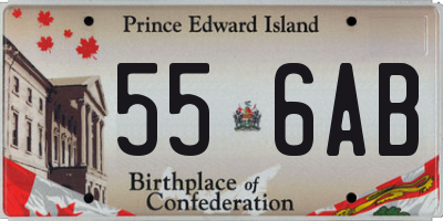 PE license plate 556AB