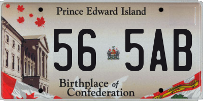PE license plate 565AB