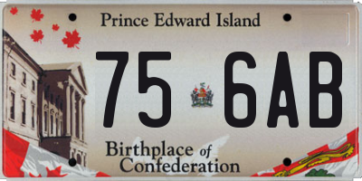 PE license plate 756AB