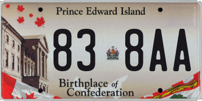PE license plate 838AA