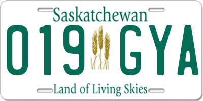 SK license plate 019GYA