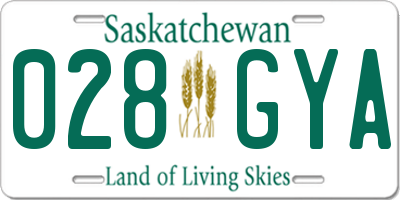 SK license plate 028GYA