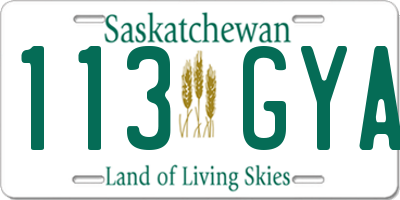 SK license plate 113GYA