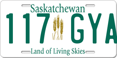 SK license plate 117GYA