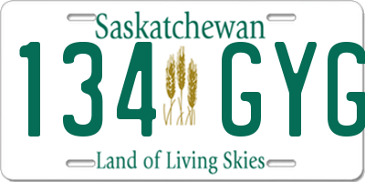 SK license plate 134GYG