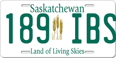 SK license plate 189IBS