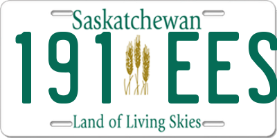 SK license plate 191EES