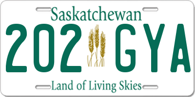 SK license plate 202GYA