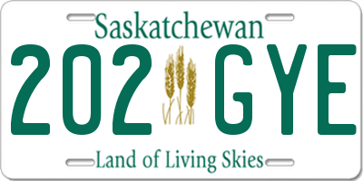 SK license plate 202GYE