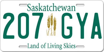 SK license plate 207GYA