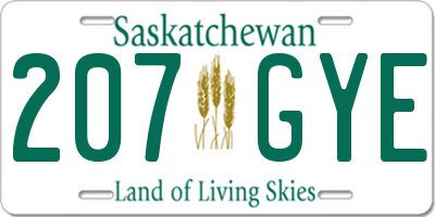 SK license plate 207GYE